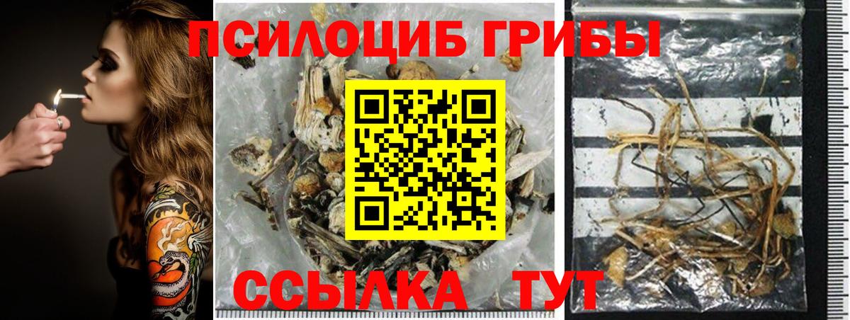 Галлюциногенные грибы Cubensis  Вход с VPN  Королёв 