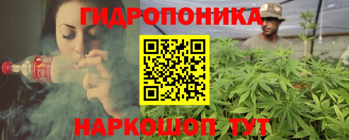 МАРИХУАНА планчик  Вход с VPN  Каннабис ГИДРОПОН  Королёв 